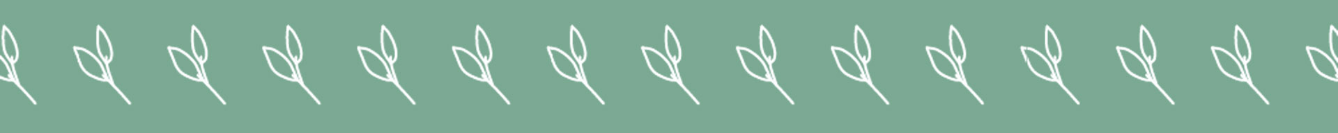Fond vert feuilles
